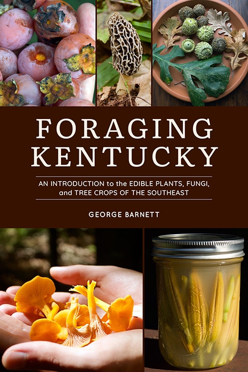 Foraging Kentucky by George Barnett, Paperback | Indigo Chapters
