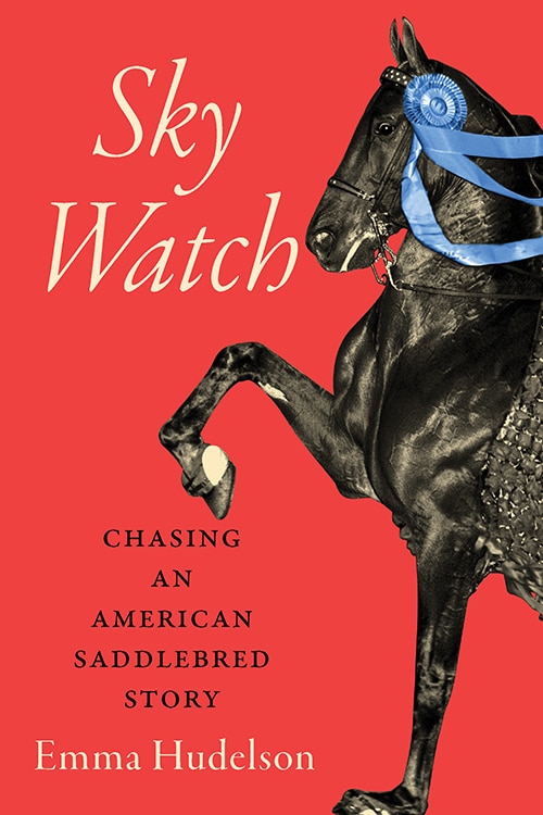 Sky Watch by Emma Hudelson, Hardcover | Indigo Chapters