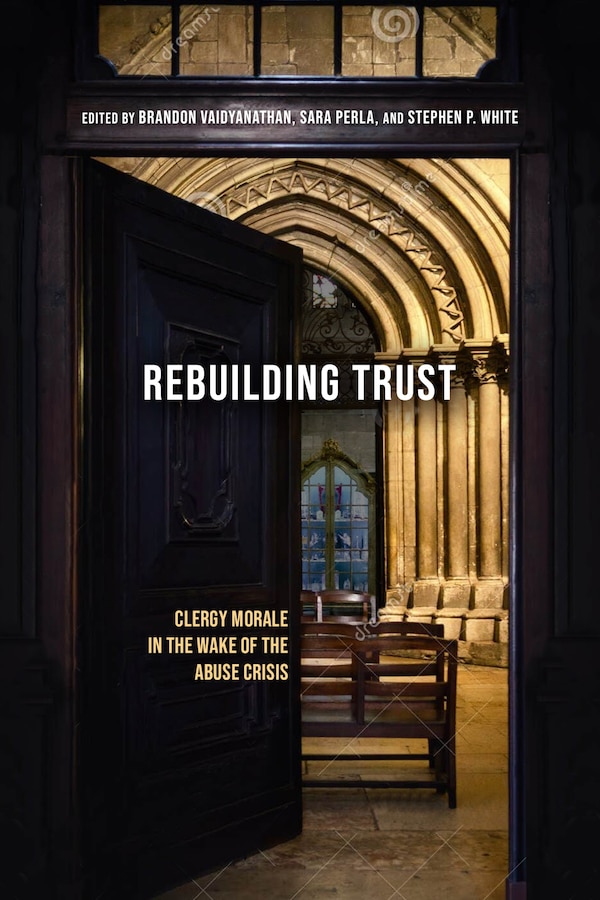 Rebuilding Trust by Brandon Vaidyanathan, Paperback | Indigo Chapters