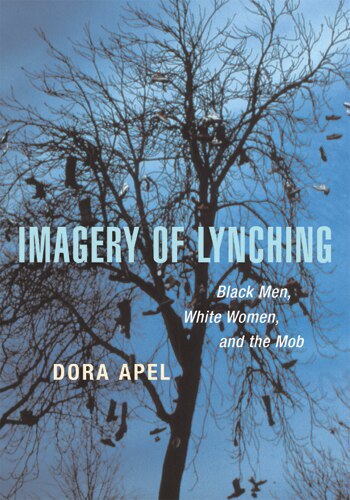 Imagery of Lynching by Dora Apel, Paperback | Indigo Chapters