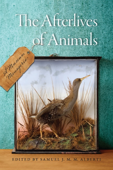 The Afterlives of Animals by Samuel J. M. M. Alberti, Hardcover | Indigo Chapters