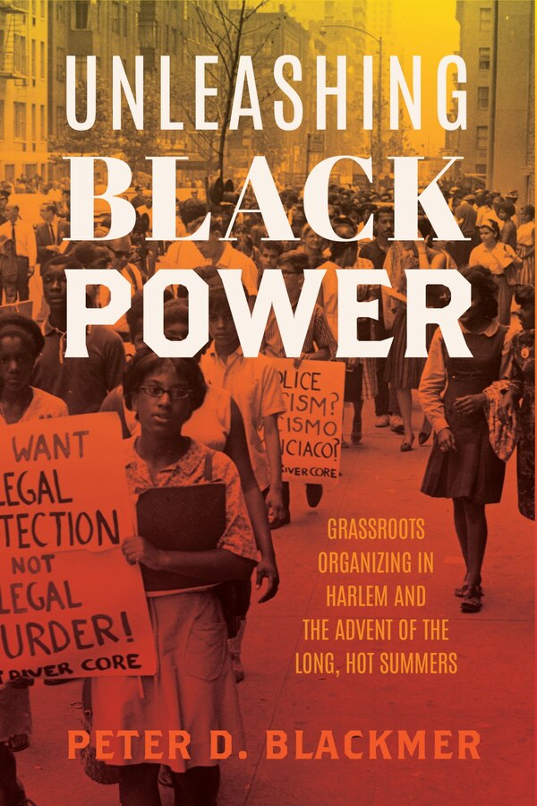 Unleashing Black Power by Peter D. Blackmer, Paperback | Indigo Chapters