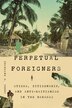 Perpetual Foreigners by Charmane M. Perry