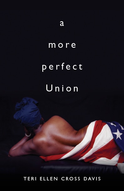 A more perfect Union by Teri Ellen Cross Davis, Paperback | Indigo Chapters