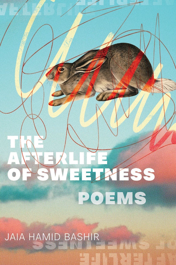 The Afterlife of Sweetness by Jaia Hamid Bashir, Paperback | Indigo Chapters