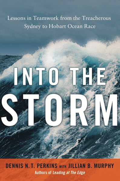 Into The Storm by Dennis Perkins, Hardcover | Indigo Chapters