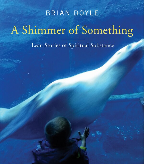 Shimmer of Something by Brian Doyle, Paperback | Indigo Chapters