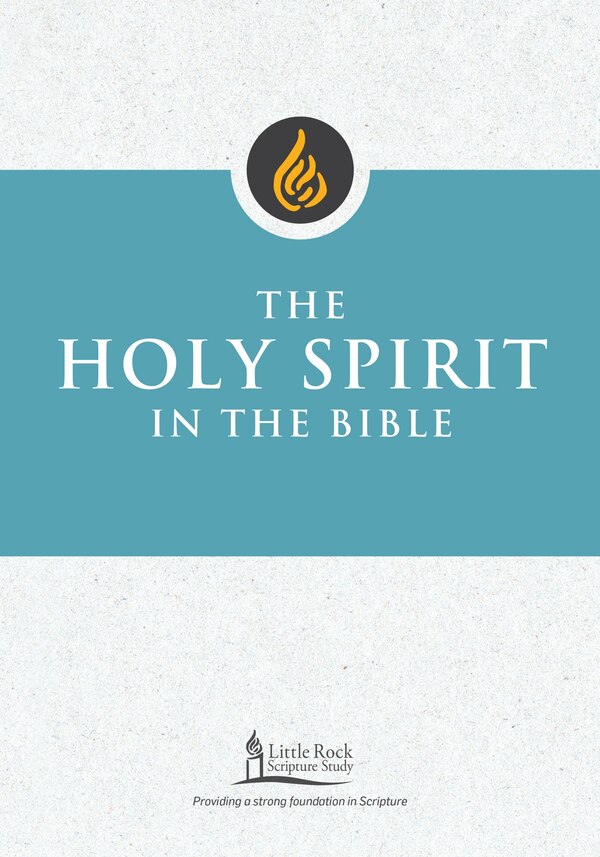 The Holy Spirit in the Bible by George M Smiga, Paperback | Indigo Chapters