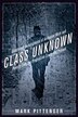 Class Unknown by Mark Pittenger, Hardcover | Indigo Chapters