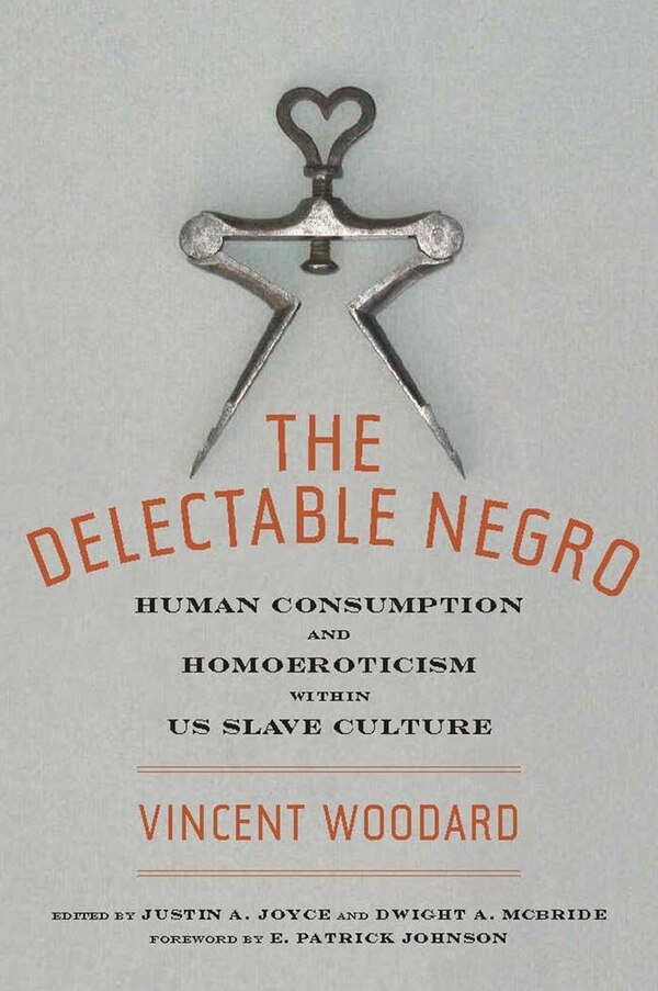 The Delectable Negro by Vincent Woodard, Paperback | Indigo Chapters