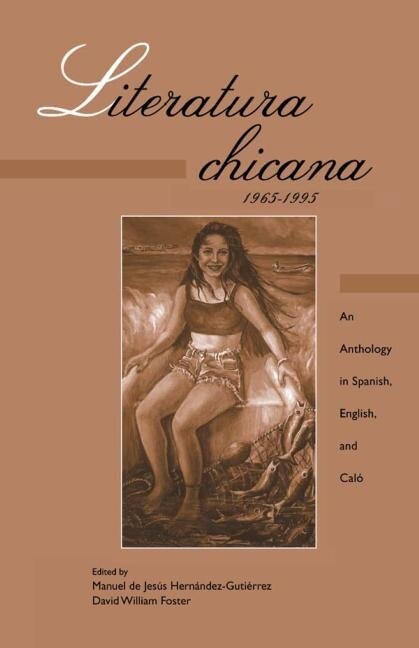 Literatura chicana 1965-1995 by Manuel De Jesus Hernandez G, Paperback | Indigo Chapters