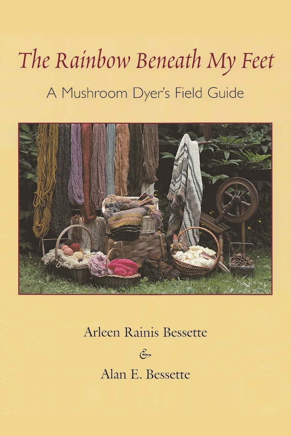 The Rainbow Beneath My Feet by Arleen Bessette, Paperback | Indigo Chapters