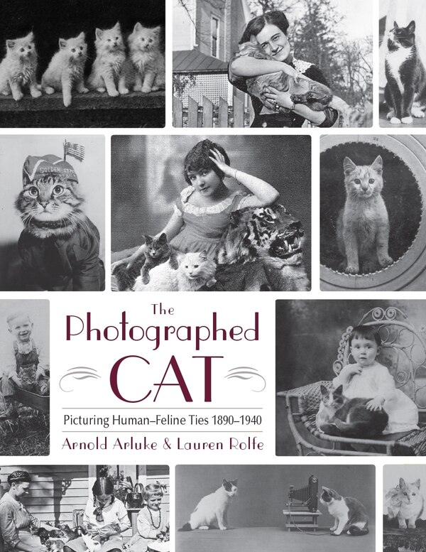 The Photographed Cat by Arnold Arluke, Hardcover | Indigo Chapters