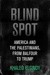 Blind Spot by Khaled Elgindy, Hardcover | Indigo Chapters