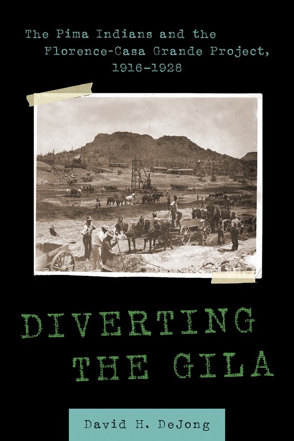Diverting The Gila by David H. DeJong, Hardcover | Indigo Chapters