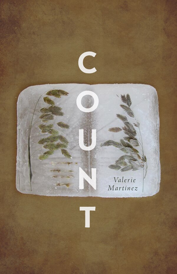 Count by Valerie Martínez, Paperback | Indigo Chapters