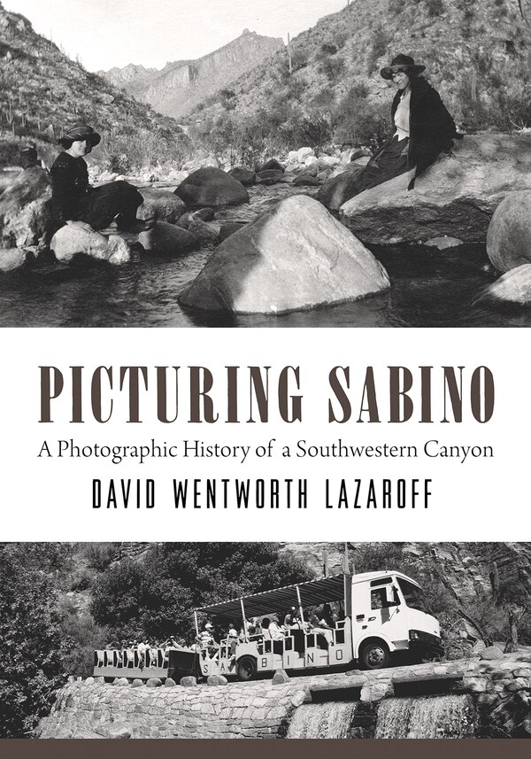 Picturing Sabino by David Wentworth Lazaroff, Paperback | Indigo Chapters
