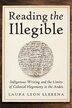 Reading the Illegible by Laura Leon Llerena, Paperback | Indigo Chapters