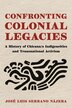 Confronting Colonial Legacies by José Luis Serrano Nájera, Paperback | Indigo Chapters