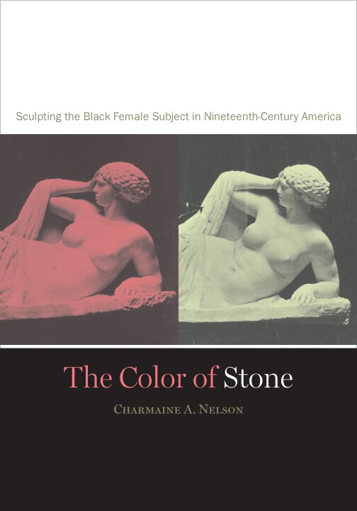 The Color of Stone by Charmaine A. Nelson, Paperback | Indigo Chapters