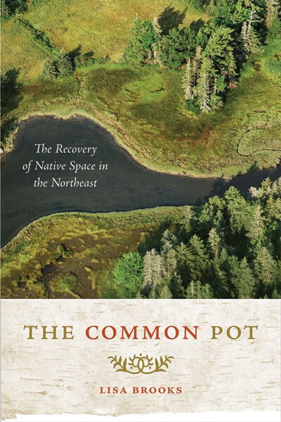 The Common Pot by Lisa Brooks, Paperback | Indigo Chapters