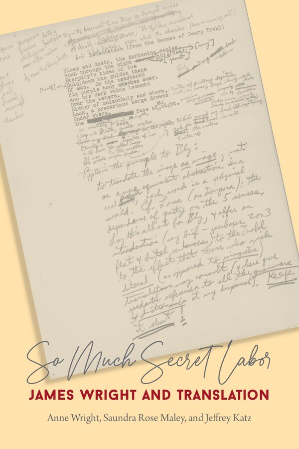 So Much Secret Labor by Anne Wright, Paperback | Indigo Chapters