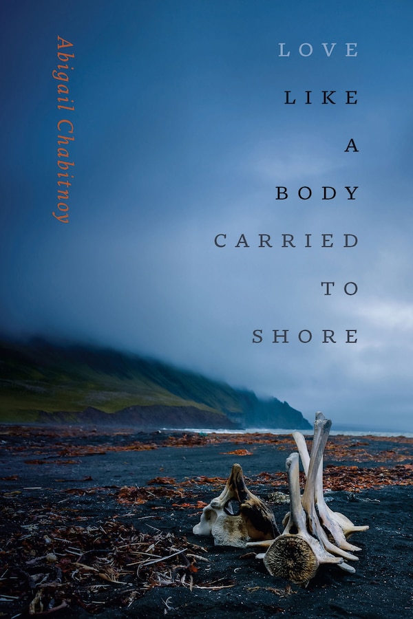 Love Like a Body Carried to Shore by Abigail Chabitnoy, Hardcover | Indigo Chapters