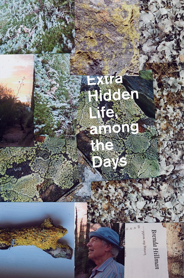 Extra Hidden Life among the Days by Brenda Hillman, Paperback | Indigo Chapters