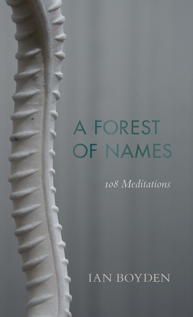 A Forest of Names by Ian Boyden, Paperback | Indigo Chapters