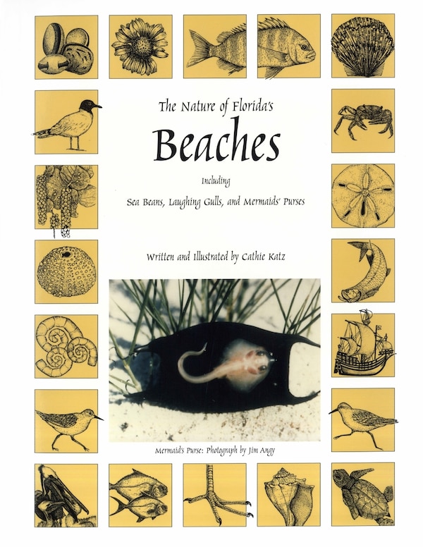 Nature of Florida's Beaches by Cathie Katz, Paperback | Indigo Chapters