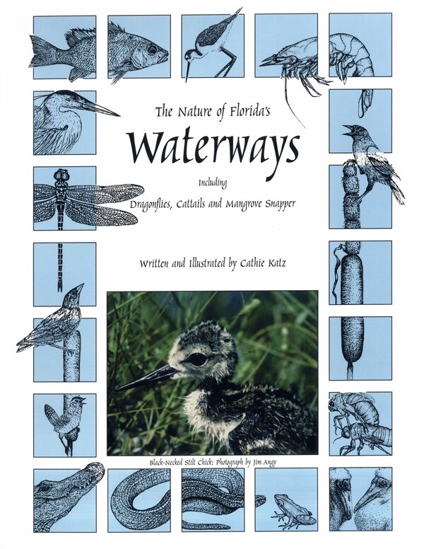 Nature of Florida's Waterways by Cathie Katz, Paperback | Indigo Chapters