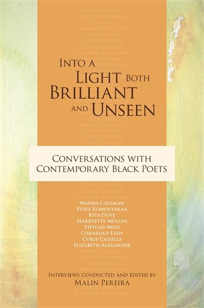 Into A Light Both Brilliant and Unseen by Malin Pereira, Hardcover | Indigo Chapters