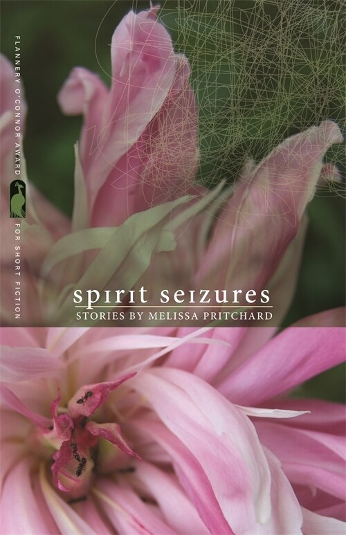 Spirit Seizures by Melissa Pritchard, Paperback | Indigo Chapters