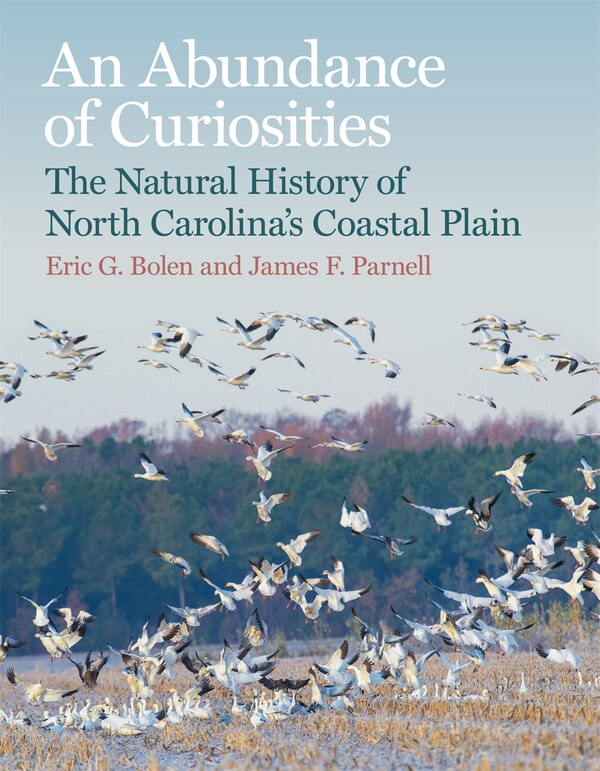 An Abundance of Curiosities by Eric G. Bolen, Hardcover | Indigo Chapters