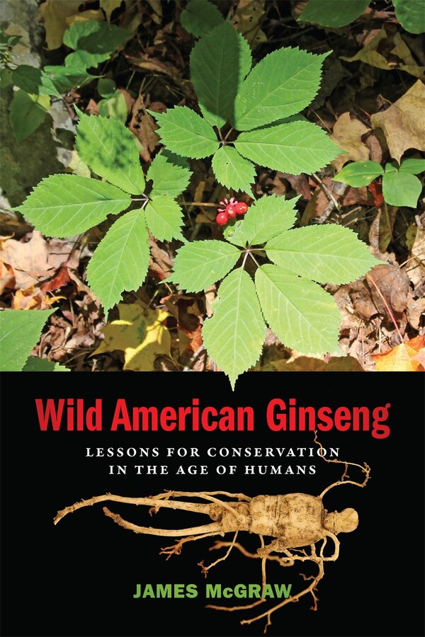 Wild American Ginseng by James McGraw, Paperback | Indigo Chapters