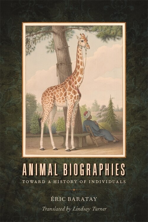Animal Biographies by �ric Baratay, Paperback | Indigo Chapters