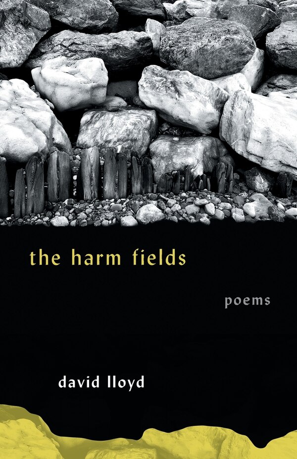 The Harm Fields by David Lloyd, Paperback | Indigo Chapters