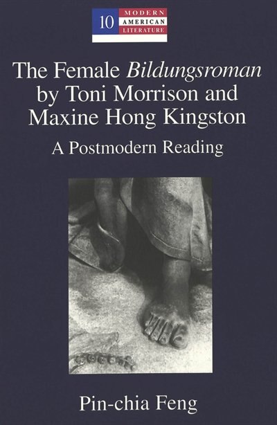 The Female Bildungsroman By Toni Morrison And Maxine Hong Kingston by Pin-Chia Feng, Paperback | Indigo Chapters