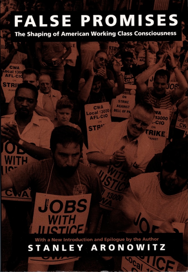 False Promises by Stanley Aronowitz, Hardcover | Indigo Chapters