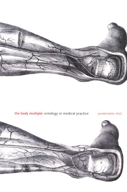 The Body Multiple by Annemarie Mol, Paperback | Indigo Chapters