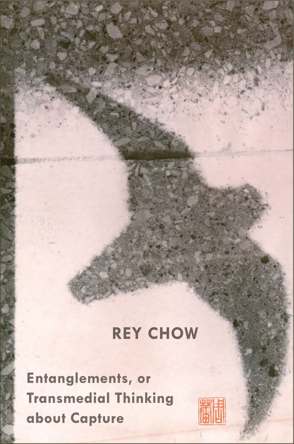 Entanglements Or Transmedial Thinking About Capture by Rey Chow, Hardcover | Indigo Chapters