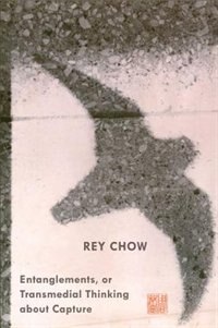 Entanglements Or Transmedial Thinking About Capture by Rey Chow, Paperback | Indigo Chapters