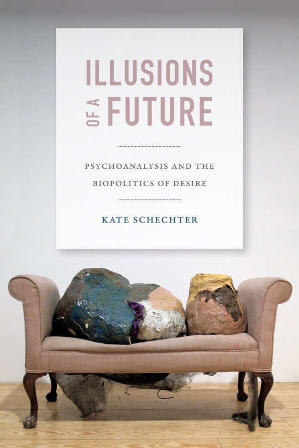 Illusions Of A Future by Kate Schechter, Paperback | Indigo Chapters