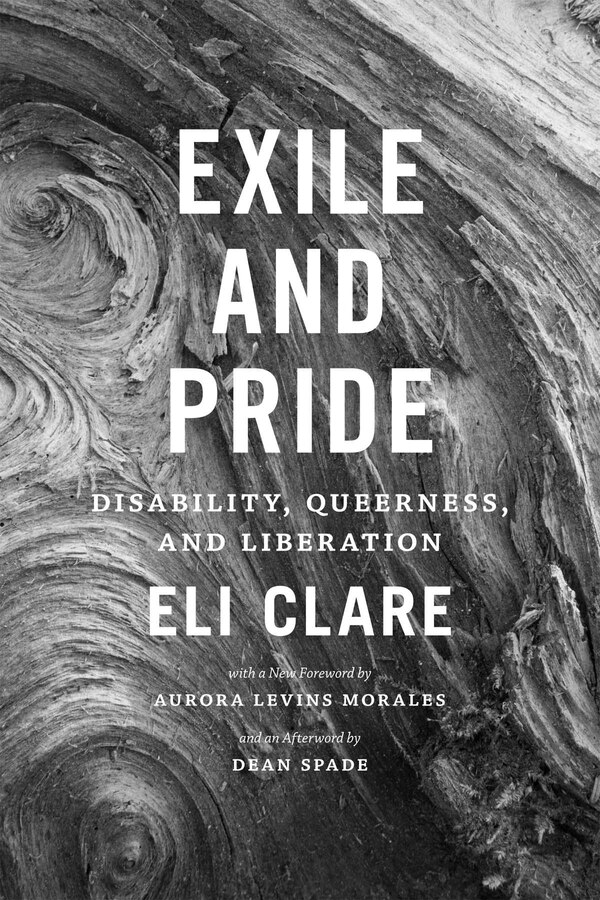 Exile And Pride by Eli Clare, Hardcover | Indigo Chapters