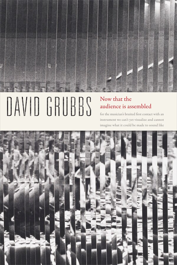 Now That The Audience Is Assembled by David Grubbs, Hardcover | Indigo Chapters