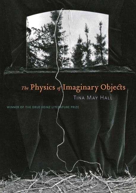 The Physics of Imaginary Objects by Tina May Hall, Paperback | Indigo Chapters