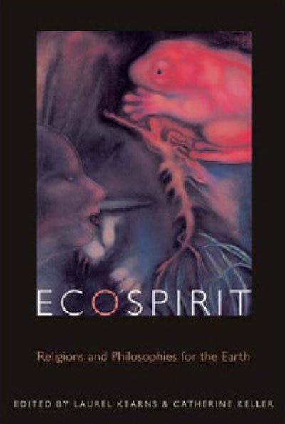 Ecospirit by Laurel Kearns, Hardcover | Indigo Chapters
