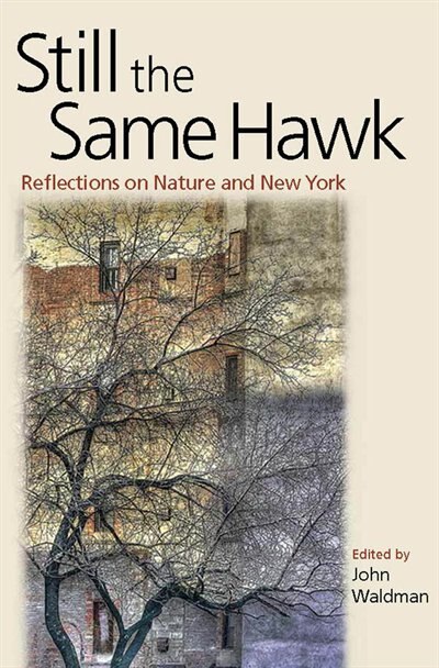 Still the Same Hawk by John Waldman, Paperback | Indigo Chapters