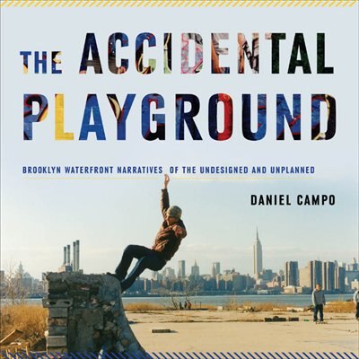 The Accidental Playground by Daniel Campo, Paperback | Indigo Chapters