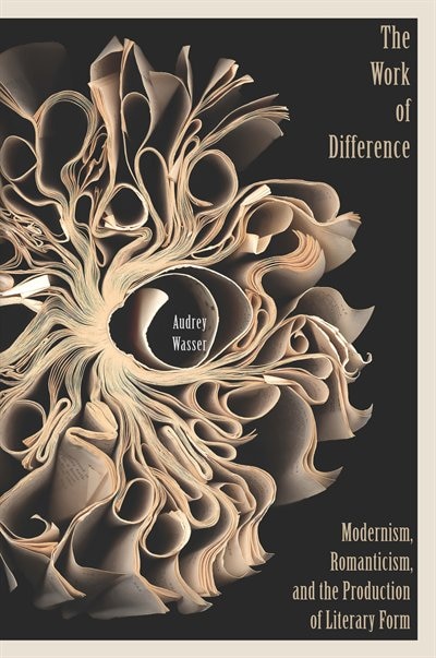 The Work of Difference by Audrey Wasser, Hardcover | Indigo Chapters